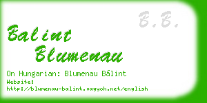 balint blumenau business card